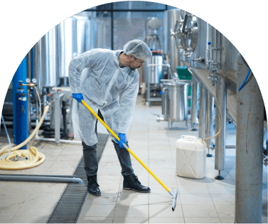 Commercial Pest Solutions